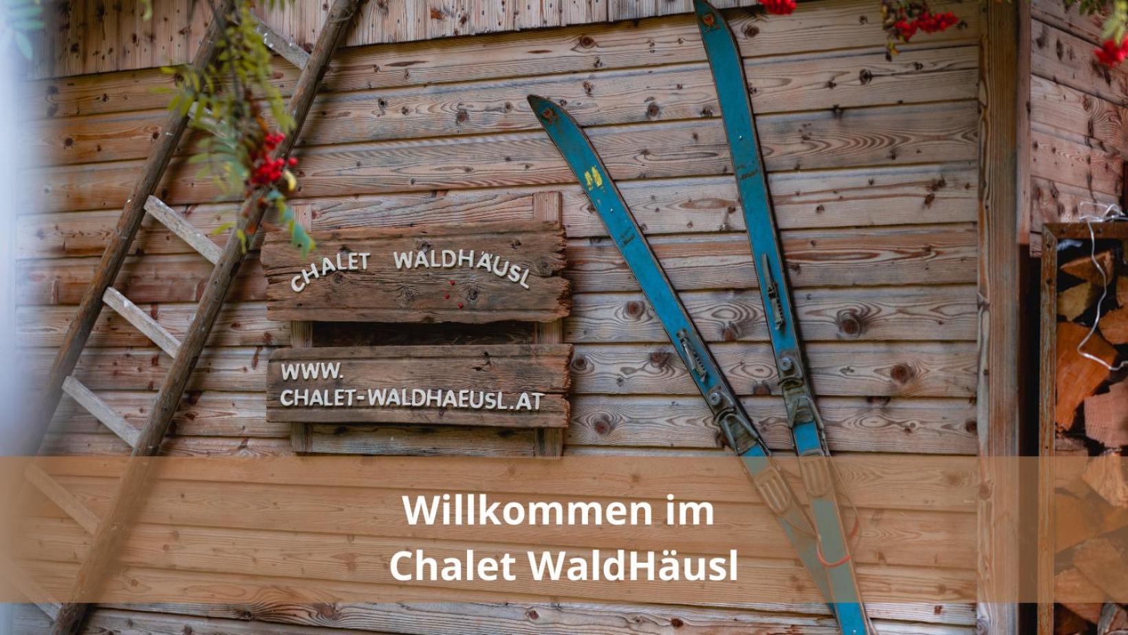 Chalet Waldhaeusl Luxurioese Ferienwohnungen Mit Sauna & Whirlpool, Kamin, Balkon Oder Terrasse Mit Bergblick Heiligenblut Εξωτερικό φωτογραφία